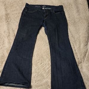 LOFT Dark Blue Flare Jeans